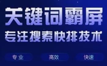 不同类型的网站需要确定不同的优化方案